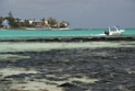 IMG_4319