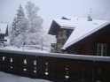 DSC07405
