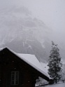DSC07407
