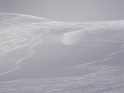 DSC07431
