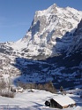 DSC07596