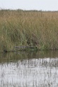 IMG_5545