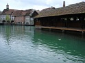 DSC08226