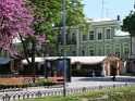 DSC08435