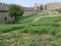 DSC08647
