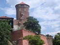 DSC09510