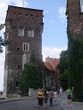 DSC09537