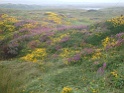 DSC09927