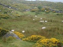 DSC09928