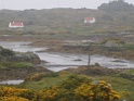 DSC09929