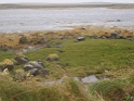 DSC09935