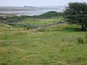 DSC09942