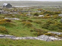 DSC09946