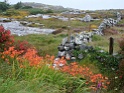 DSC09949