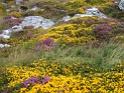 DSC09952
