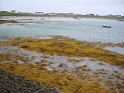 DSC09956