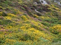 DSC09961