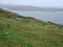 DSC09963
