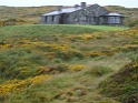 DSC09965