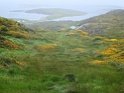 DSC09967