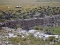 DSC09968