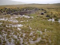 DSC09970