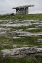 IMG_7816