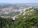 DSC00733