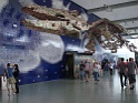 DSC00910