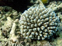 PB040121