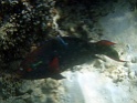 PB040126