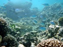 PB040143
