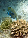 PB040165