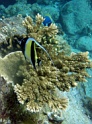 PB040171