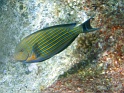 PB040175
