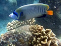 PB040176