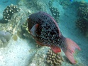 PB040178
