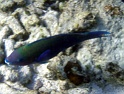 PB040182