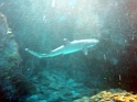 PB040192
