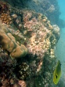 PB040202