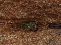 PB050222
