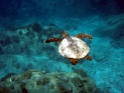 PB060237