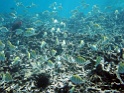 PB060246