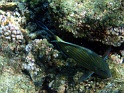 PB060248