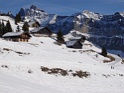 DSC02395
