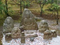 DSC03203