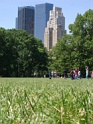 DSC04515
