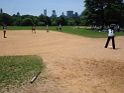 DSC04529