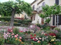DSC03662