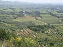 DSC03676